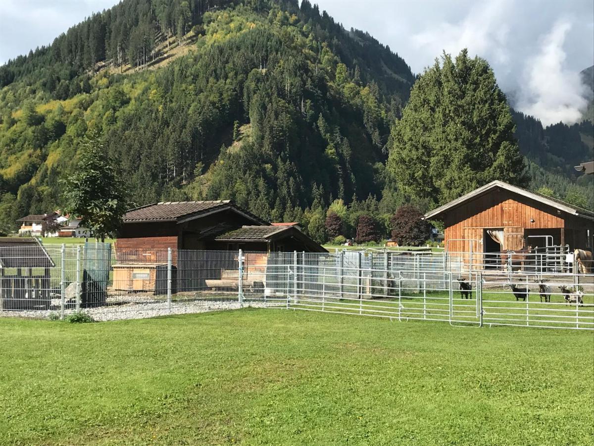 Pony-Ziegen-Hasen-Ranch Bichlbach Apartment Exterior photo