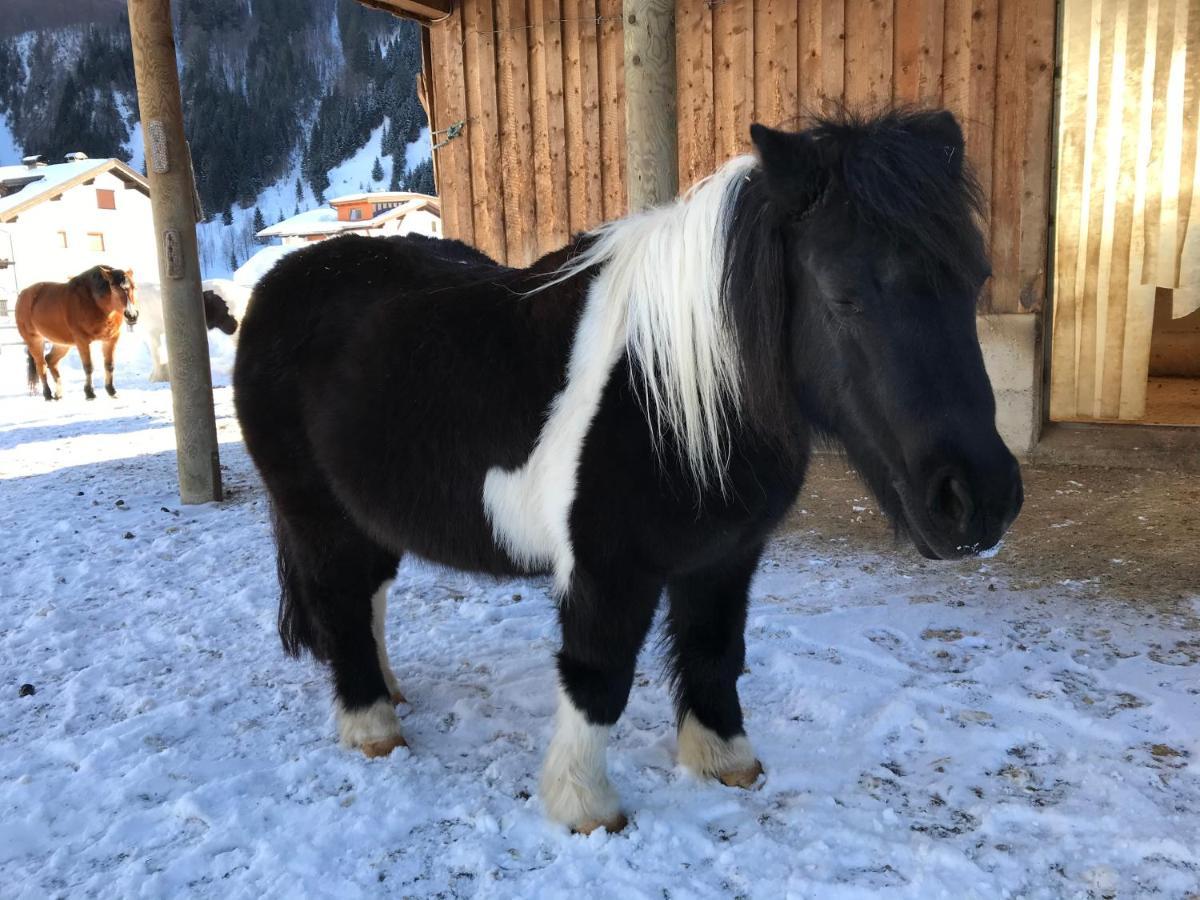 Pony-Ziegen-Hasen-Ranch Bichlbach Apartment Exterior photo