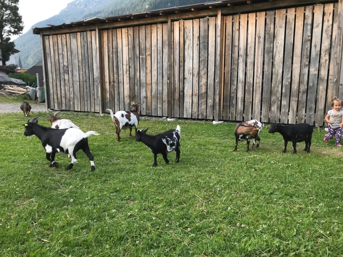 Pony-Ziegen-Hasen-Ranch Bichlbach Apartment Exterior photo
